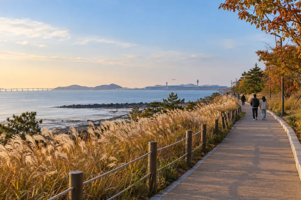 Illustrative coastal walk on Yeongjong Island after the fanmeeting