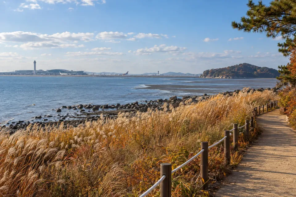 Illustrative Incheon airport-island reed-lined shore