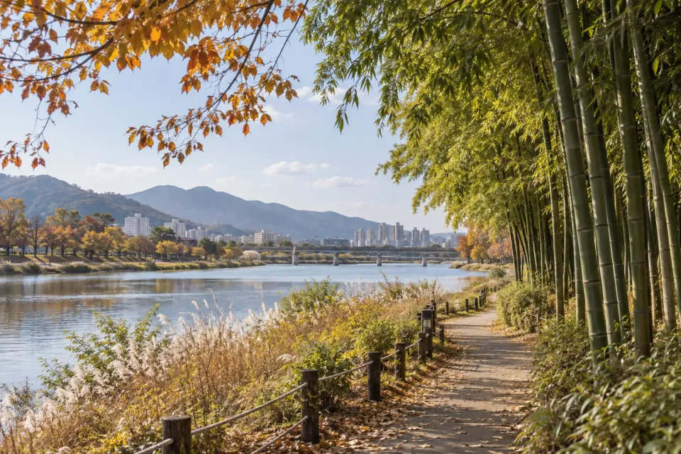 울산 태화강 국가정원의 대나무 산책로 분위기를 참고한 이미지