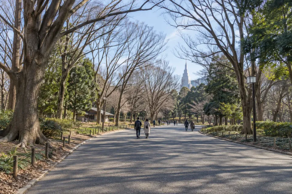 AI illustration inspired by Yoyogi Park's late-winter trees and paths