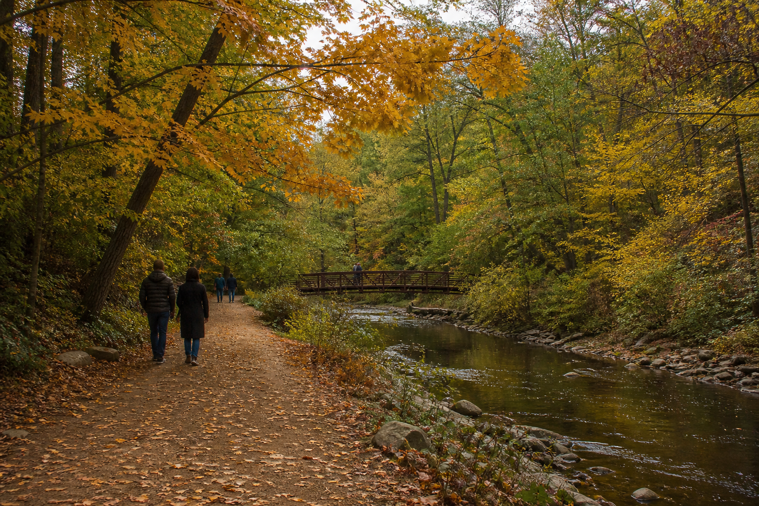 단풍 든 숲길과 하천, 보행교가 이어지는 토론토 Humber Arboretum