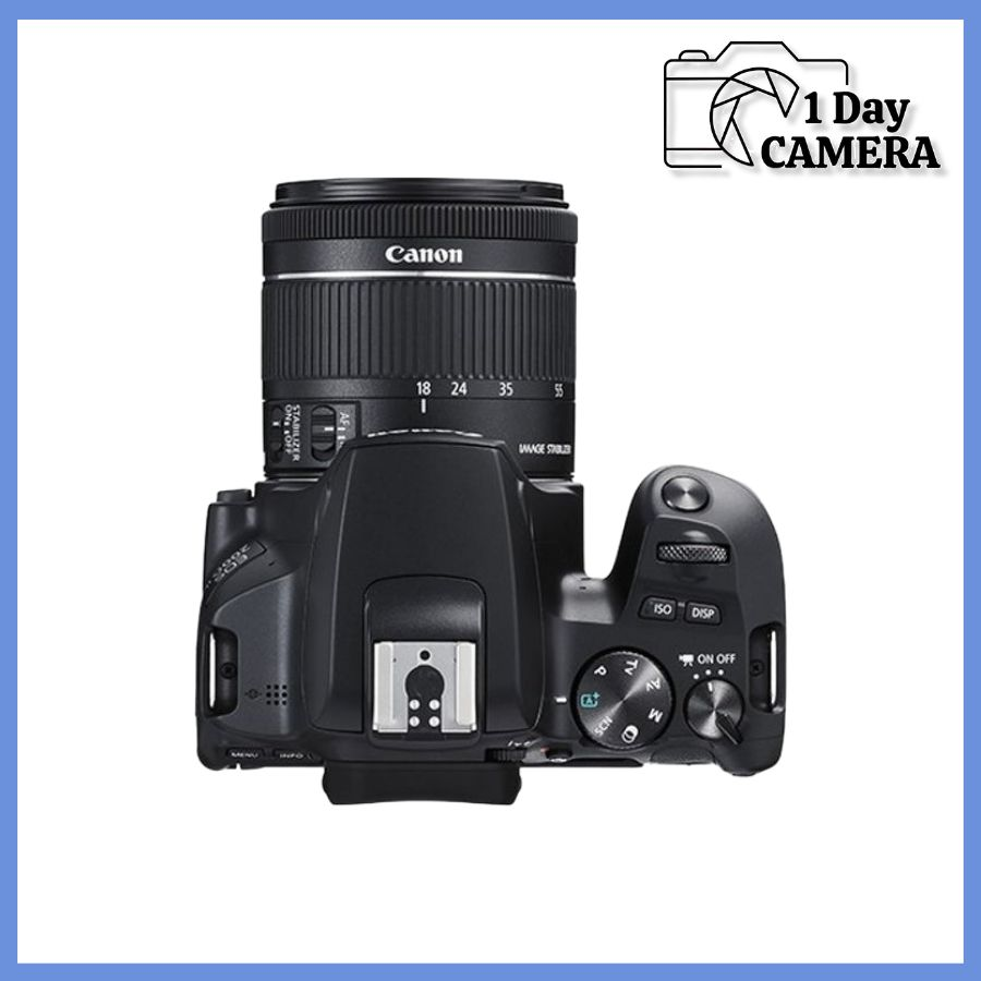 [蚕室] Canon EOS 200D II 2