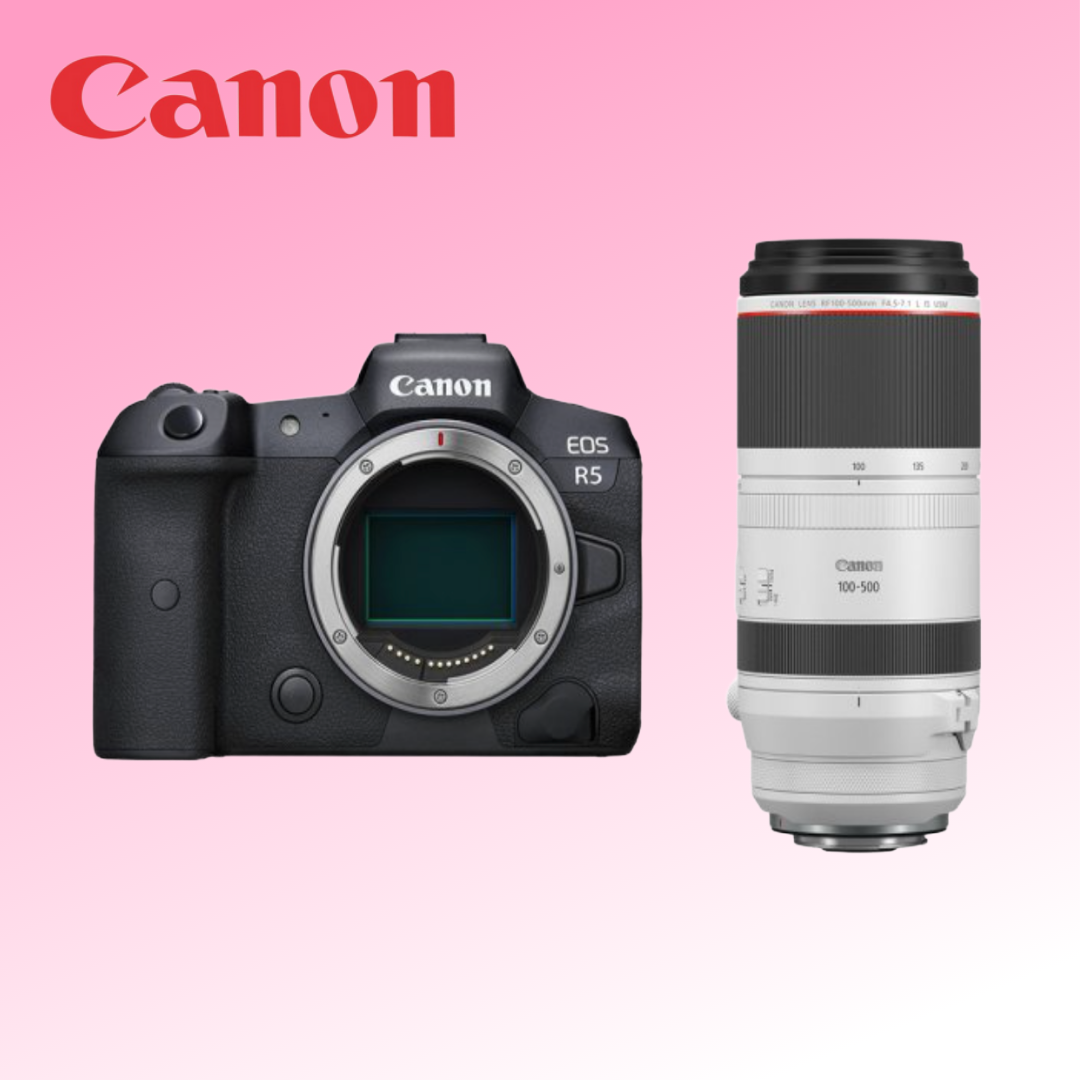 [Jamsil] Canon EOS R5 + RF100–500