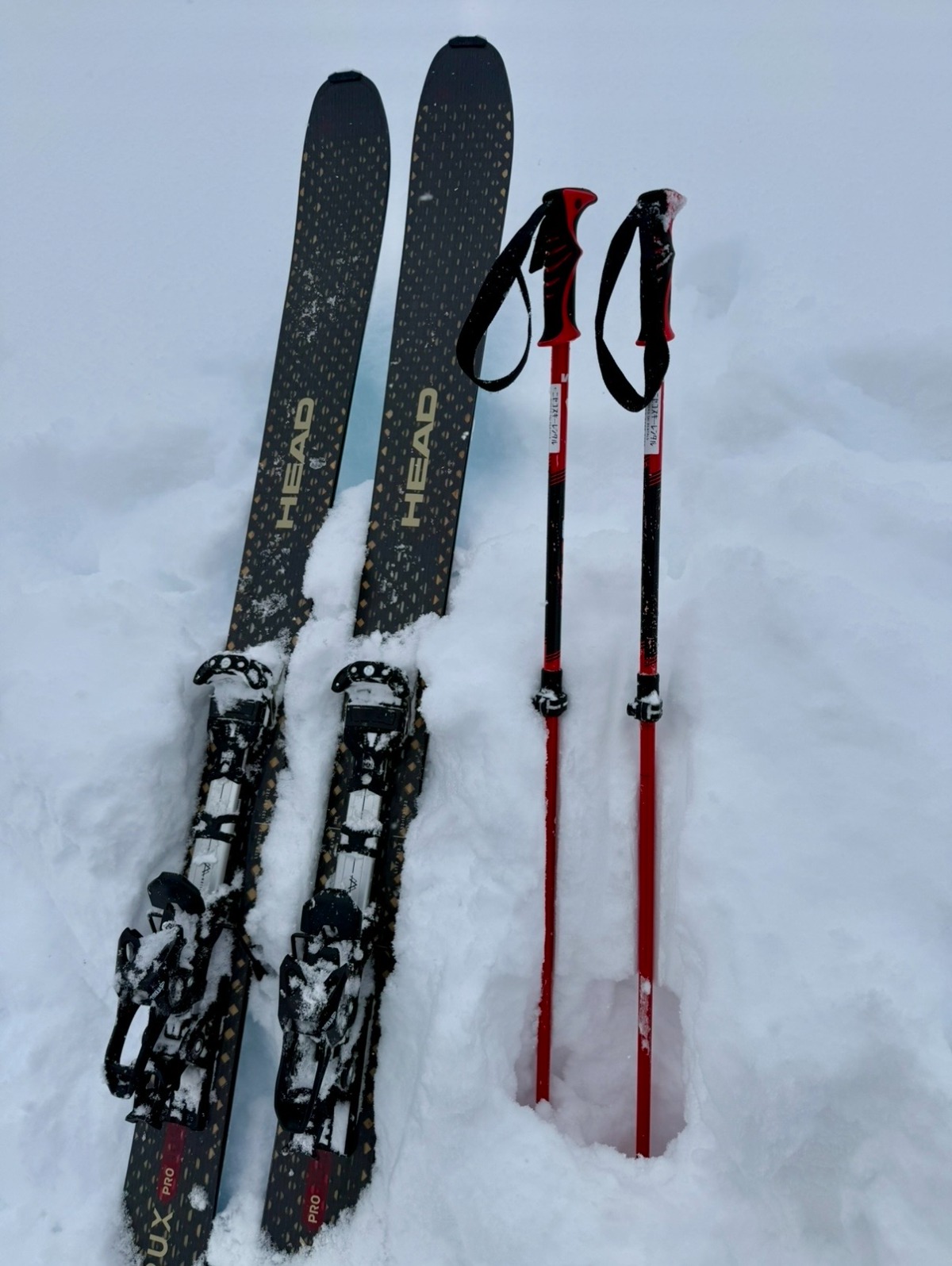 [Niseko, Hokkaido] Backcountry Ski Package 5