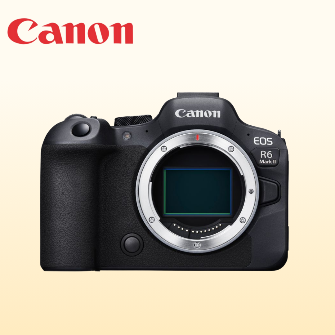 [잠실·합정] 캐논 R6 Mark II + RF100–500·RF70–200 렌즈 세트 렌탈 6