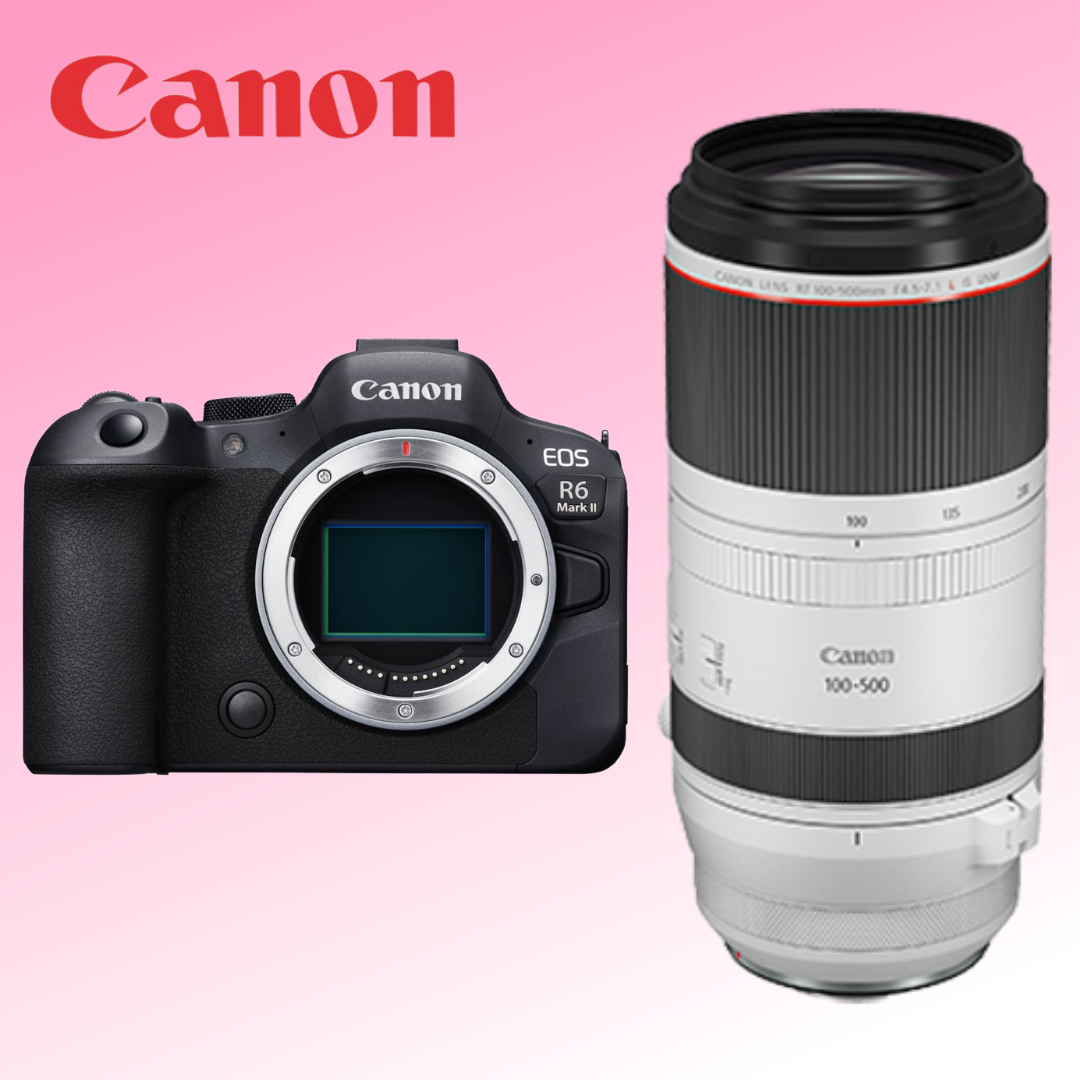 [Jamsil·Hapjeong] Canon EOS R6 Mark II + RF100–500 / RF70–200