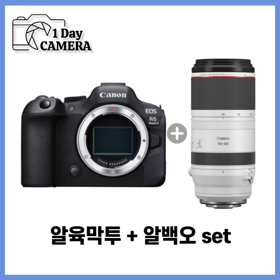 [잠실·합정] 캐논 R6 Mark II + RF100–500·RF70–200 렌즈 세트 렌탈 2