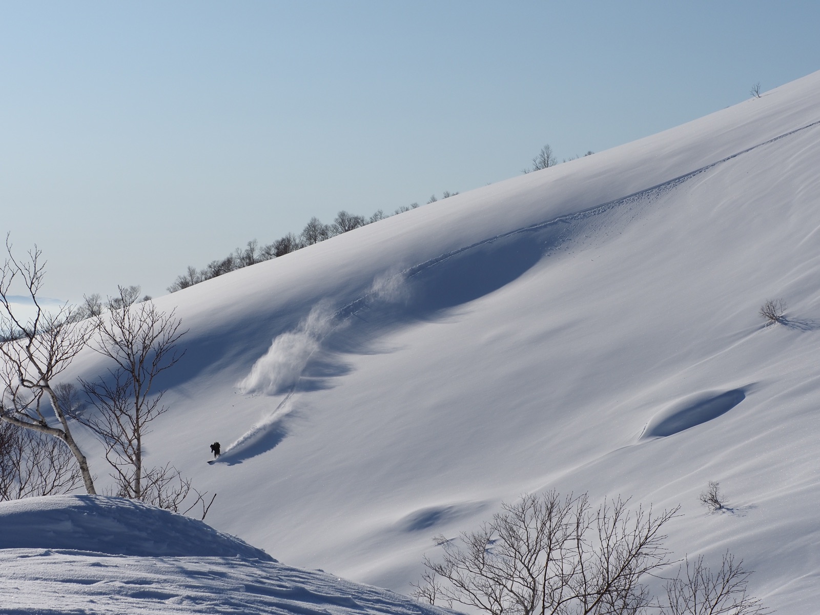 [二世古·北海道] 标准单板滑雪套装