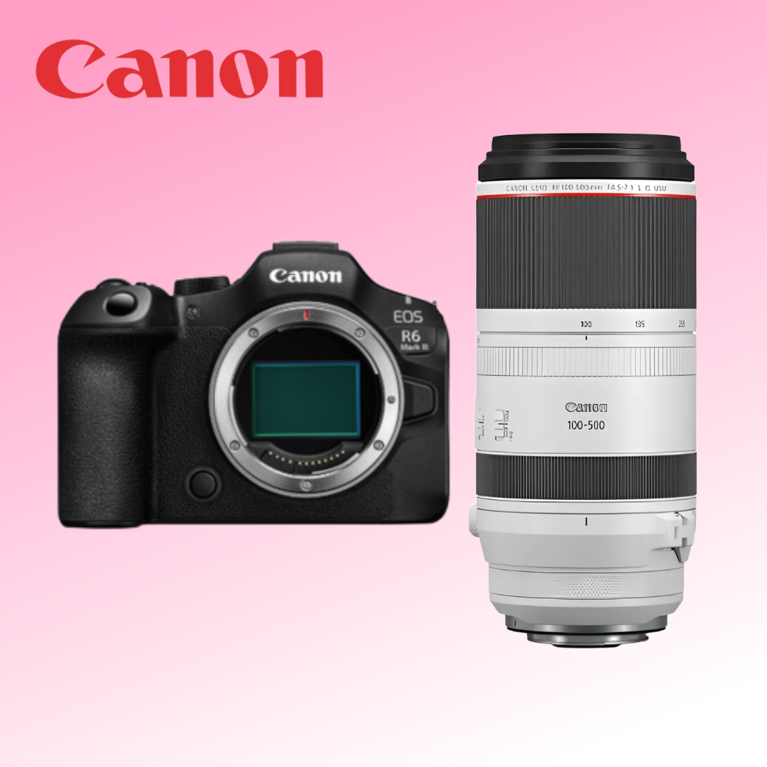 [Jamsil] Canon EOS R6 Mark III + RF100–500
