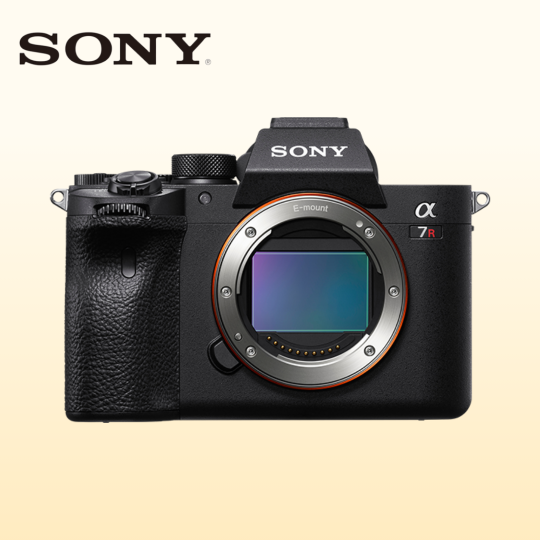 [Jamsil] Sony A7R IV 2