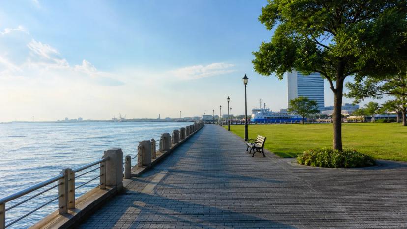 夏季船桥港亲水公园滨水步道