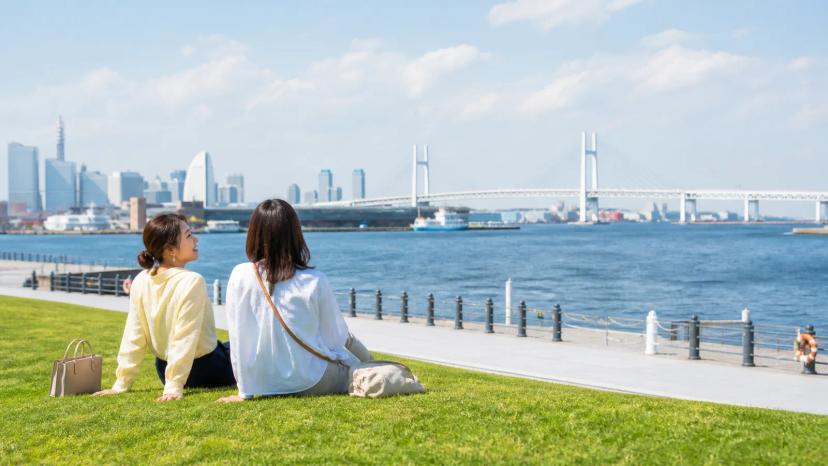 临港公园海滨草坪