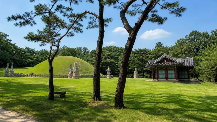 Royal tombs and green summer park at Seonjeongneung