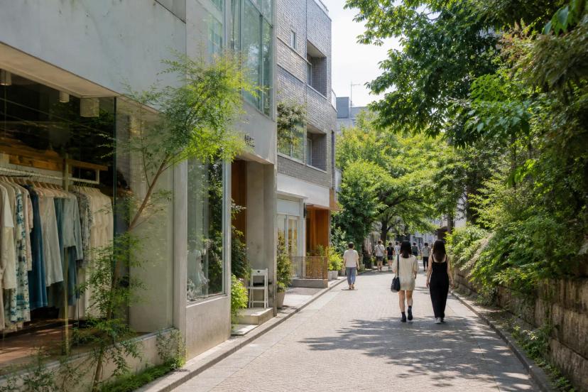 A leafy summer walk inspired by Cat Street between Shibuya and Harajuku