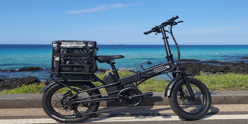 Jeju 500W Electric Bicycle (Elfama V6) 2